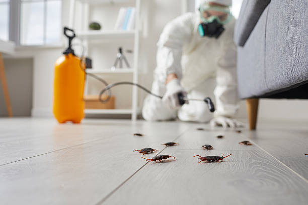 Commercial Kitchen Cockroach Control in Taylor Creek